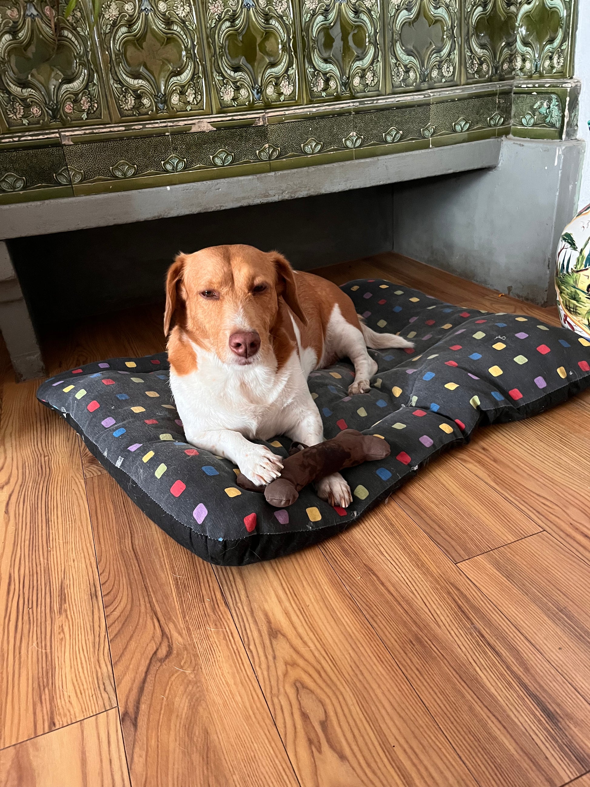 Hundespielzeug Knochen