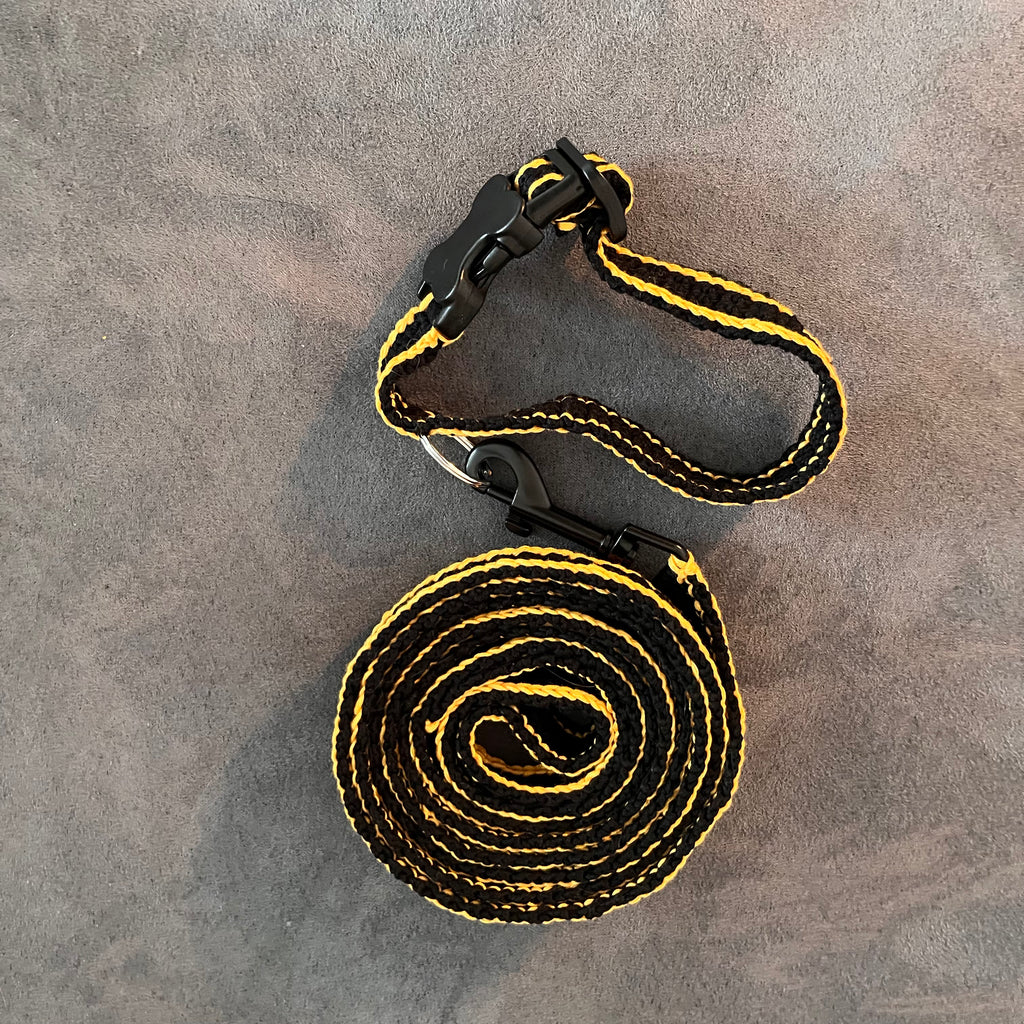 Handgemachte Hundeleine & Halsband-Set – stilvoll, bequem & praktisch