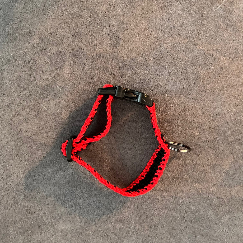 Handgemachte Hundeleine & Halsband-Set – stilvoll, bequem & praktisch