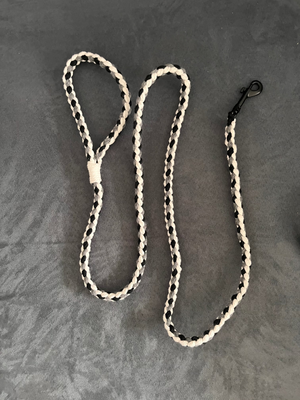Set aus rund geflochtener Hundeleine mit passendem Halsband (beides grössenverstellbar)